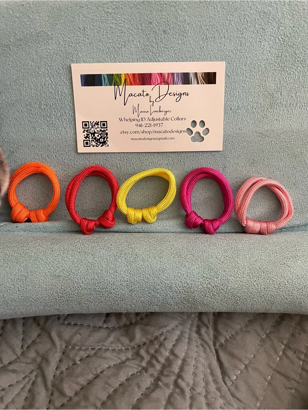 Neon puppy/kitten Collar Ring Set — Orange, Red, Yellow, Fuchsia, Light Pink